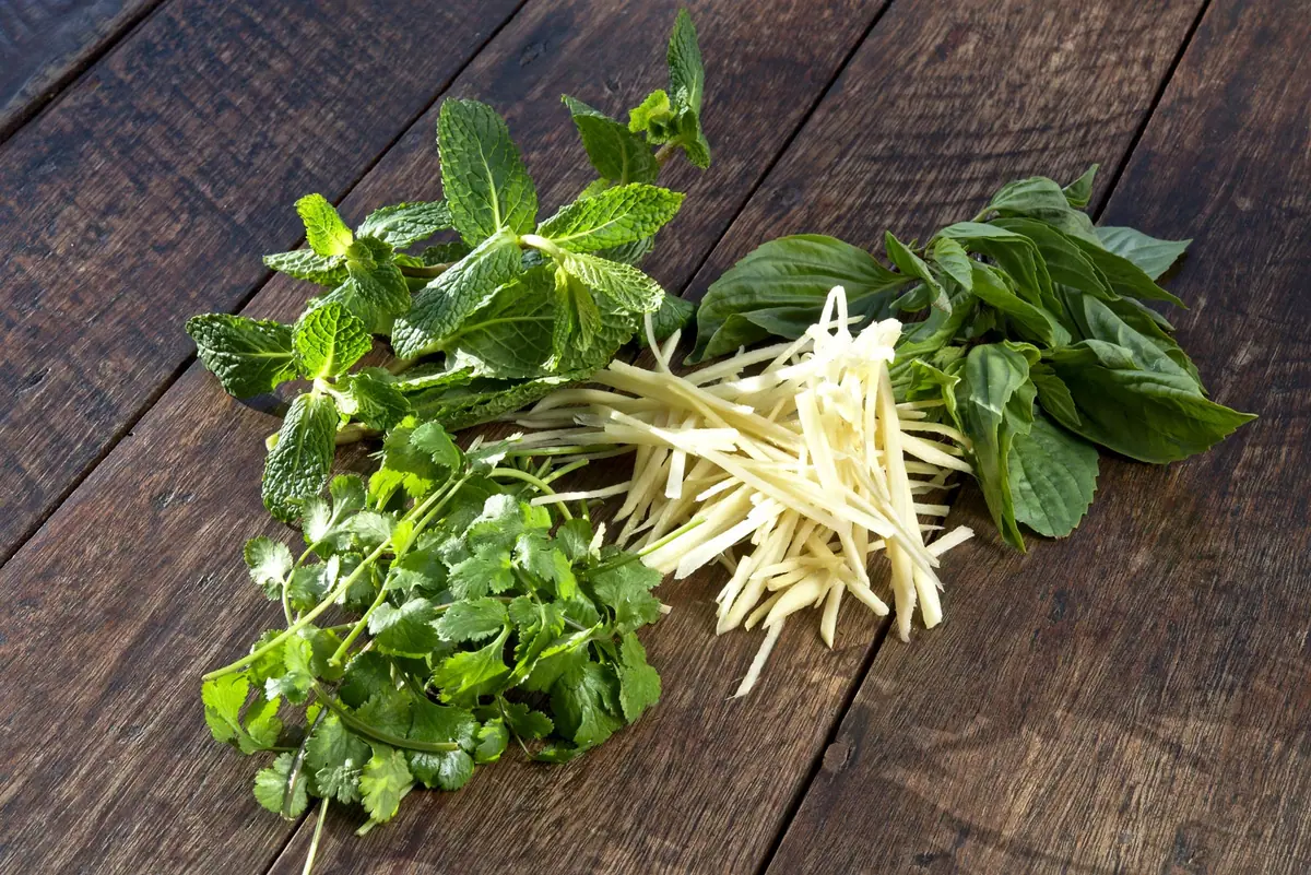 Verse Thaise kruiden: basilicum, koriander en gember